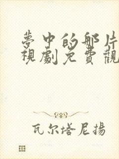 梦中的那片海电视剧免费观看高清