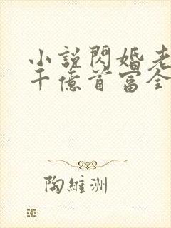 小说闪婚老公是千亿首富全文