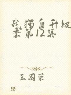 我独自升级第二季第12集