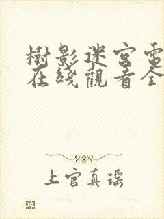 树影迷宫电视剧在线观看全集免费封面