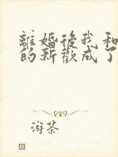 离婚后我和前夫的新欢成了闺蜜