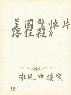 美国惊悚片《末路狂杀》封面