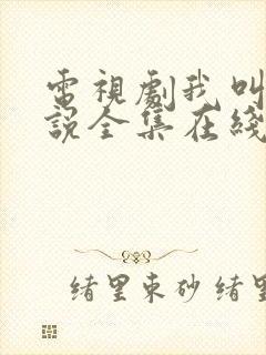 电视剧我叫刘传说全集在线观看