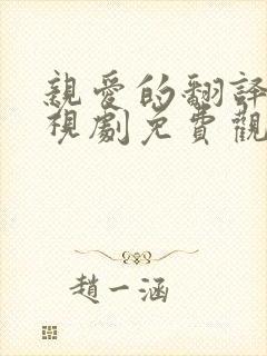 亲爱的翻译官电视剧免费观看全集免费策驰