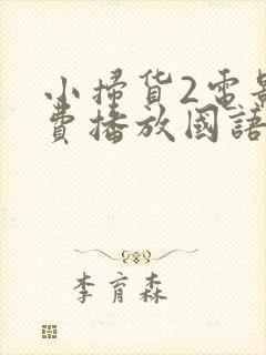 小扫货2电影免费播放国语