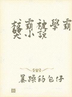 校霸被学霸欺负哭小说