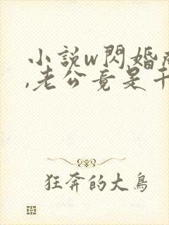 小说w闪婚成宠,老公竟是千亿大佬》