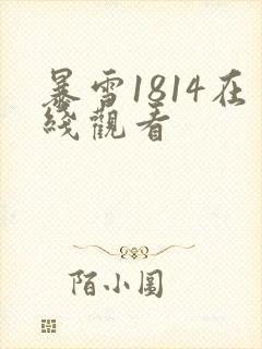 暴雪1814在线观看