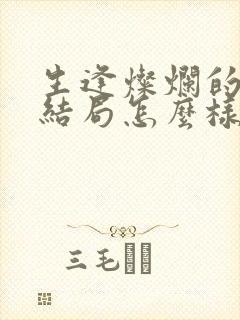 生逢灿烂的日子结局怎么样封面