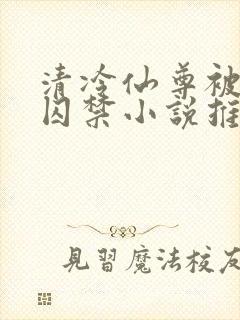 清冷仙尊被魔尊囚禁小说推荐