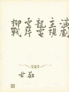 柳云龙主演的谍战片电视剧大全集