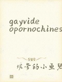 gayvideopornochinese