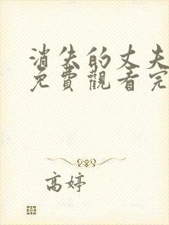 消失的丈夫短剧免费观看完整版高清