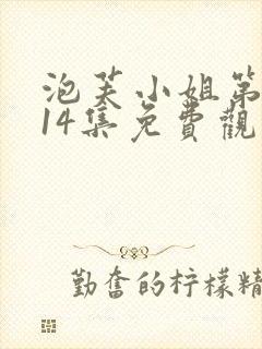 泡芙小姐第六季14集免费观看全集