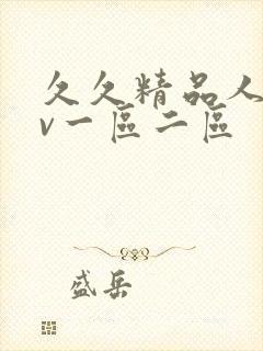 久久精品人妻av一区二区