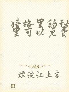 暗格里的秘密哪里可以免费观看