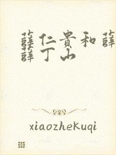 薛仁贵和薛平贵薛丁山封面
