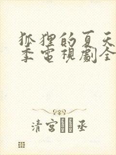 狐狸的夏天第一季电视剧全集免费封面