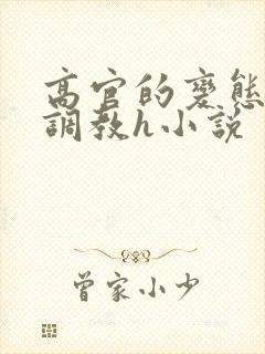 高官的变态玩弄调教h小说