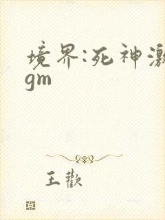 境界:死神激斗gm