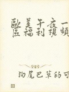 欧美午夜一区二区福利视频