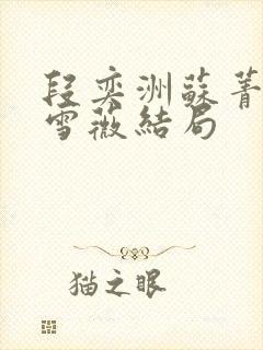 段奕洲苏菁挽宋雪薇结局封面