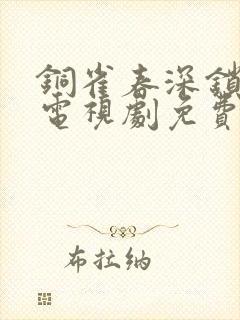 铜雀春深锁二美电视剧免费观看