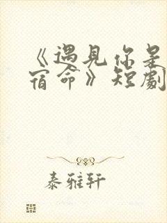 《遇见你是我的宿命》短剧封面