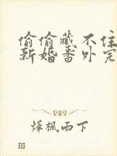 偷偷藏不住番外新婚番外完整版