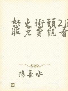 怒火街头2国语版免费观看