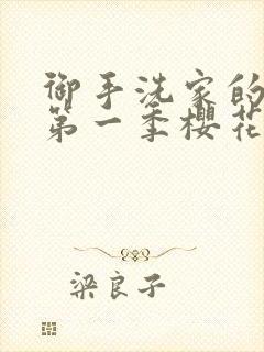 御手洗家的破洞第一季樱花动漫