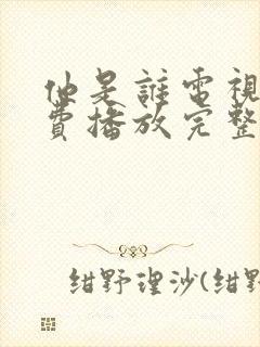 他是谁电视剧免费播放完整版