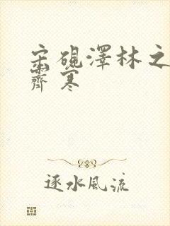 宋砚泽林之意沈霁寒