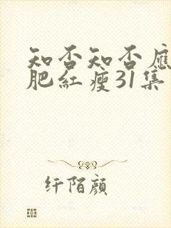 知否知否应是绿肥红瘦31集