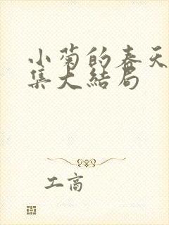 小菊的春天36集大结局