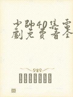 少帅40集电视剧免费看全集封面