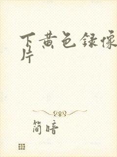 下黄色录像一级片
