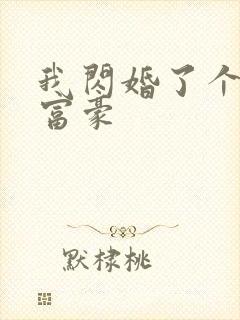 我闪婚了个亿万富豪