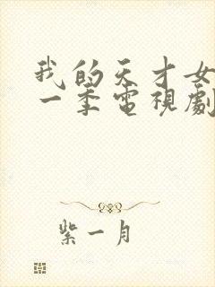 我的天才女友第一季电视剧免费看封面