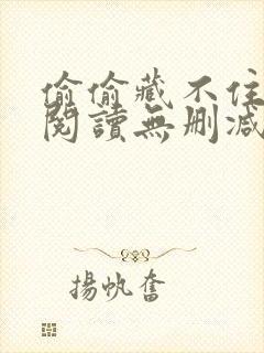 偷偷藏不住全文阅读无删减封面