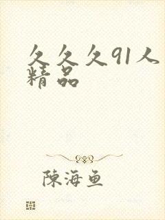 久久久91人妻精品封面