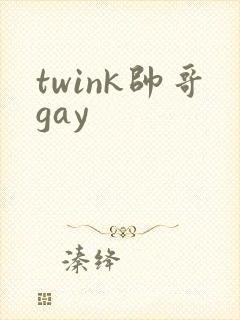 twink帅哥gay