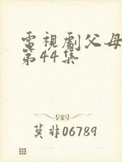 电视剧父母爱情第44集封面