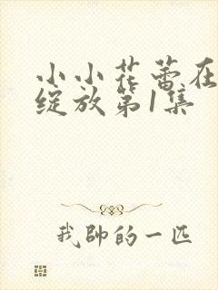 小小花蕾在心中绽放第1集