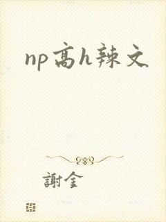 np高h辣文