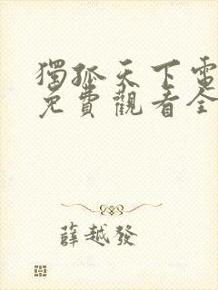 独孤天下电视剧免费观看全集高清封面