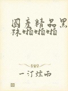 国产精品黑色丝袜啪啪啪