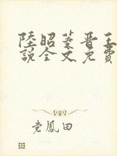 陆昭菱晋王的小说全文免费阅读最新章节