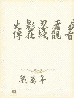 火影忍者 疾风传在线观看