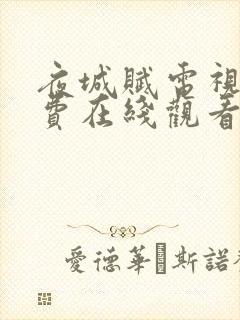 夜城赋电视剧免费在线观看封面